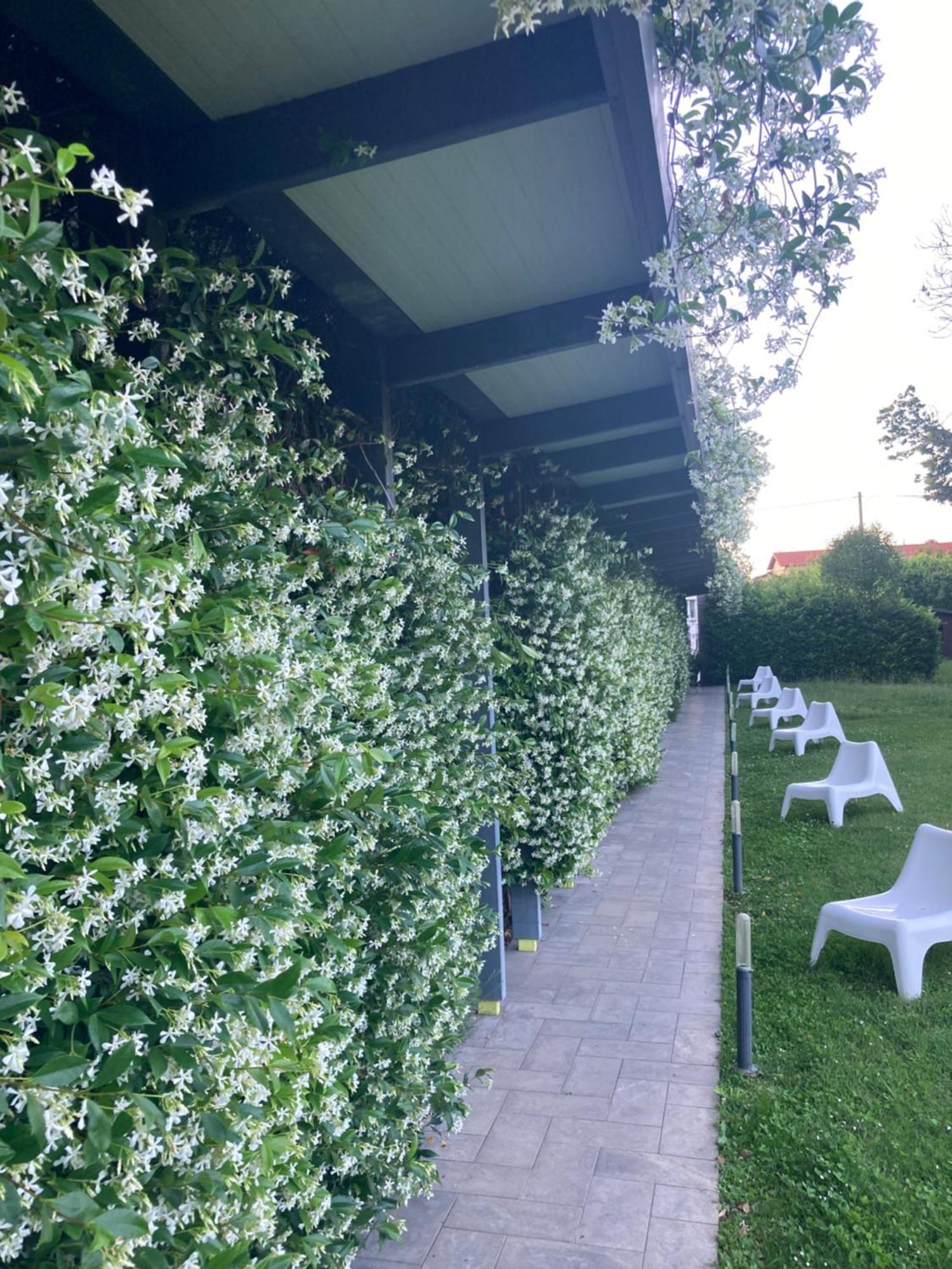 Mxp Rooms Guest House Cardano Al Campo Ngoại thất bức ảnh